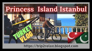 Princess island Istanbul Tour  Day Tour Vlog of Buyukada and Adalar Turkey [upl. by Nealy309]