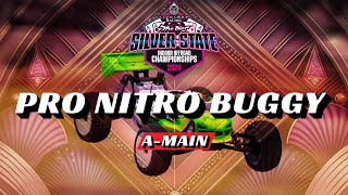 Pro Nitro Buggy AMain  2024 Silver State [upl. by Mellisa75]