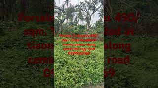 Forsale 6 hectares 450sqm Titled in tiaong quezon farmlotforsale fyp [upl. by Odille]