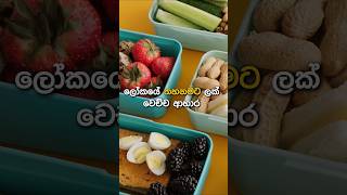 ලෝකයෙන් තහනම් කරපු කෑම  Banded Foods from World asmr food shorts [upl. by Appilihp]