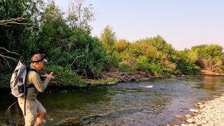 Looking for Big Trout in this Small Idaho Stream [upl. by Harness364]