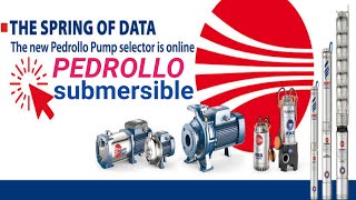 Pedrollo Submersible water pump 3hp delivery 2×2quot [upl. by Lemire]