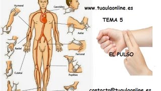 MEDIDA DEL PULSO  TCAE [upl. by Eimmak]