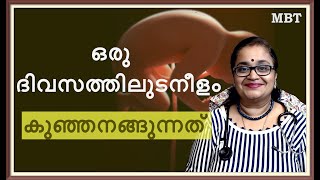 വയറ്റിലുള്ള കുഞ്ഞു ഒരു ദിവസത്തിലുടനീളം അനങ്ങുന്നത് ഒരു പോലെ ആണോ  Pregnancy  Fetal Movement  MBT [upl. by Rimidalb]