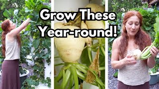 How to grow ROOT VEGETABLES on an Aeroponic Tower Garden [upl. by Trammel]