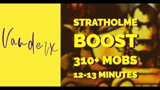 Protection Paladin Stratholme Boost 310 Mobs  1213 Minutes [upl. by Kantor207]