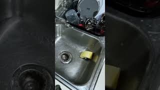 dishwash asmr dishwasher soap water cleaning cutlery householdchores kitchenchores [upl. by Kidd]