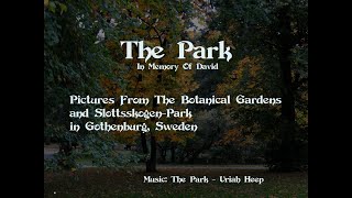 Uriah Heep  The Park [upl. by Kanor885]