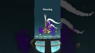 Shadow SHINY Koffing will evolve into Galarian Weezing [upl. by Aiek]