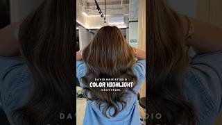 Trend Hair Colors 2024  Color Highlights Gray Pearl by DHS [upl. by Eidnim778]