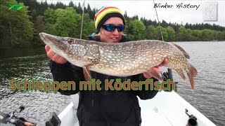 Schleppen mit Köderfisch Blinker History [upl. by Nywde612]