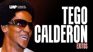 Tego Calderon Reggaeton Exitos  DJ Fibo [upl. by Lleroj]