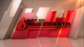 Wadsworth City Council  November 6 2024 [upl. by Jacobsen]