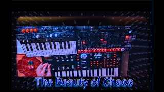 The Beauty of Chaos  Wendelyn Music  Synth Pro X Microfreak Hydrasynth Explorer  Dark Ambient [upl. by Aksehcnarf26]