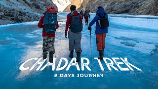 Chadar Trek 2020  Watch Before You Walk On The Frozen River [upl. by Blinni]