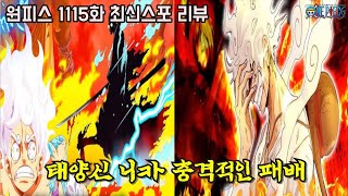 원피스 1115화 최신근황태양신 니카 충격적인 패배와 포네그리프 공백의 100년 모든 진실과 비밀 공개 [upl. by Annabela]