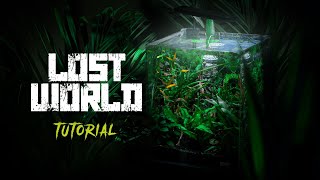 Natural Betta Fish Tank Setup  LOST WORLD  Aquascape Tutorial [upl. by Arvid229]