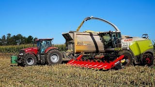 MaisMKS Hakselen  Kolvensilage MelkvStraathof Wagenborgen [upl. by Yelats]