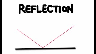 The Law of Reflection and Plane Mirrors [upl. by Narf677]