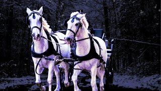 Carriage Ride Through Winter Storm Horse Drawn Carriage Ambience [upl. by Litt18]