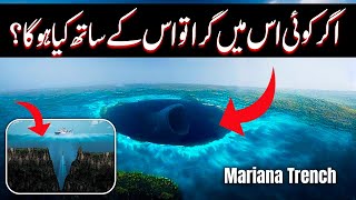 Horrible Creatures Of Mariana Trench  How Deep is Mariana Trench [upl. by Cornia]