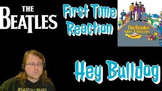 The Beatles Hey Bulldog First Time Reaction [upl. by Attennaej]