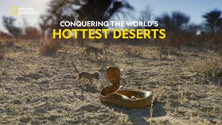 Survival in the Desert  Hostile Planet  हिंदी  S1  E4  Nat Geo Wild [upl. by Cassondra]