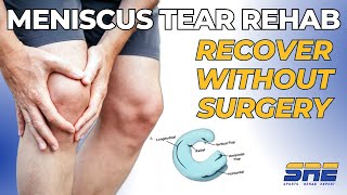 Meniscus Tear Rehab amp Exercise Progressions 5 Stages [upl. by Igal]