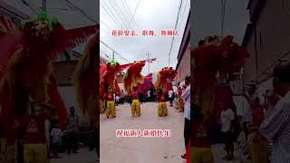 Wishing the bride and groom a happy wedding Wedding sedan chair for wedding Lion dance perform [upl. by Yelhs]