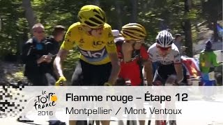 Flamme rouge  Étape 12 Montpellier  Mont Ventoux  Tour de France 2016 [upl. by Ara453]