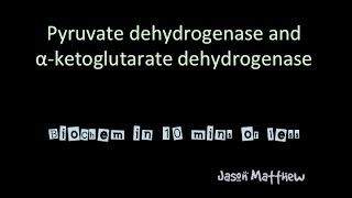 Pyruvate dehydrogenase and Alpha ketoglutarate dehydrogenase [upl. by Pillihpnhoj]