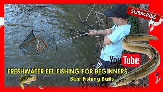 Freshwater Eel Fishing For Beginners  Best Fishing Baits [upl. by Aical]