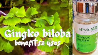 What is gingko biloba benefits amp uses malayalam ജിൻകോബൈലോബ അറിവ് heavensoultruepath [upl. by Aldo]