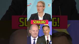 Lindner und Scholz Schuldig ampelaus scholz lindner aliceweidel [upl. by Klimesh]