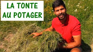 UTILISER LA TONTE AU POTAGER [upl. by Hanan]