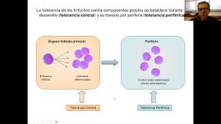 9 Desarrollo de linfocitos B y T y mecanismos de tolerancia [upl. by Bremble985]