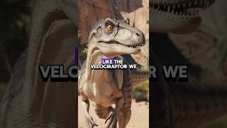 The Velociraptor shorts trending motivation [upl. by Hanahs863]