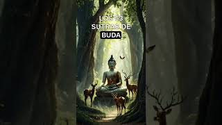 LOS 53 SUTRAS DE BUDA SUTRA 34 [upl. by Irak855]