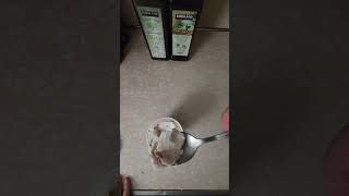 HaagenDazs New York Strawberry Cheesecake Ice Cream Review Part 3 icecream haagen [upl. by Assyl]