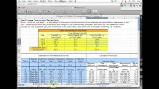 Calculating Net Primary Productivity Tutorial [upl. by Rawde]