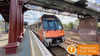 Sydney Trains Vlog 1695 Petersham Train Action [upl. by Sana]