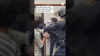 Polémico desalojo del encierro de los estudiantes pro palestinos en la Universidad de Sevilla [upl. by Annat783]