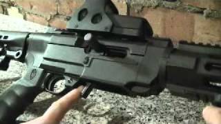 RUGER 1022 ARCHANGEL By RACKNLOAD [upl. by Valorie772]