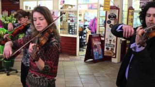 Ashmolean Stradivarius Exhibition Flashmob at the Oxford Covered Market [upl. by Canica300]