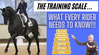 SCALES OF TRAINING  6 WAYS TO SUCCEED IN DRESSAGE  PART 1  DMA TV EP 341 [upl. by Yanrahs]