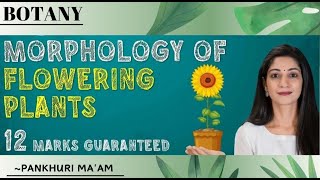 MORPHOLOGY OF FLOWERING PLANTS  NEET 2025  PANKHURI MIGLANI [upl. by Minni]