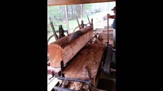 Frick sawmill big deodar cedar [upl. by Grigson]