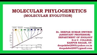 MOLECULAR EVOLUTION  MOLECULAR PHYLOGENETICS [upl. by Castle]