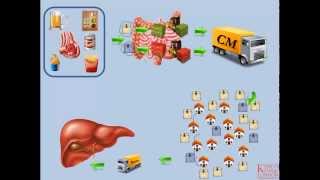 Lipids and Lipoproteins  Part 2 Exogenous Pathway [upl. by Pages]