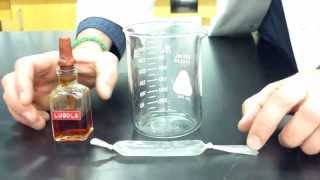 Diffusion Through a Membrane Lab  Part 1 making the model cell [upl. by Yenetruoc]